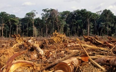 Acordo UE-Mercosul: Política ambiental brasileira é entrave