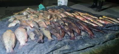 Homem é preso transportando 53kg de pescado irregular em Leverger