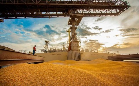 Plano Safra 2022/2023 será robusto, diz ministro Marcos Montes