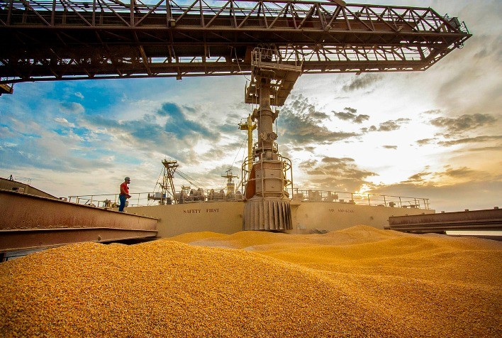 MT:  Instituto prevê que Mato Grosso vai ampliar em 65% volume de milho vendido no exterior