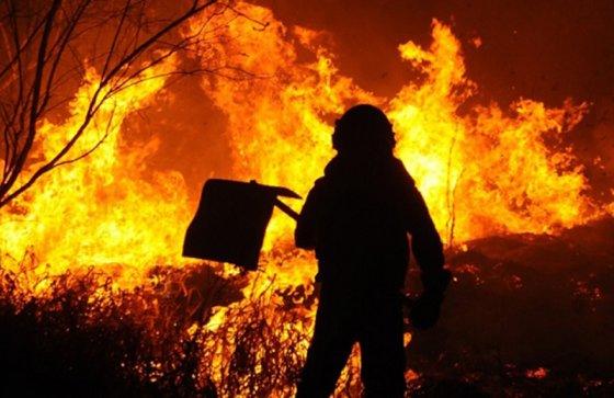 MT: RISCO PARA A SAÚDE:  43 municípios de MT têm índice alto ou crítico para as queimadas