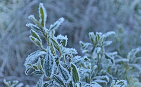 Onda de frio: o que esperar da massa polar que vai gelar grande parte do Brasil