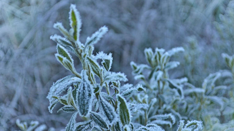 Onda de frio: o que esperar da massa polar que vai gelar grande parte do Brasil