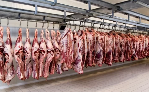 MT:  REDUÇÃO DOS ABATES, EM ABRIL, REFLETIU SOBRE A CAPACIDADE INSTALADA DOS FRIGORÍFICOS DE MT