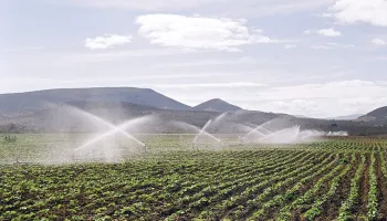 Brasil e Egito querem ampliar o comércio bilateral de produtos agropecuários