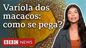 Varíola dos macacos: quais os sintomas e como se transmite