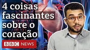 4 curiosidades fascinantes sobre o coração