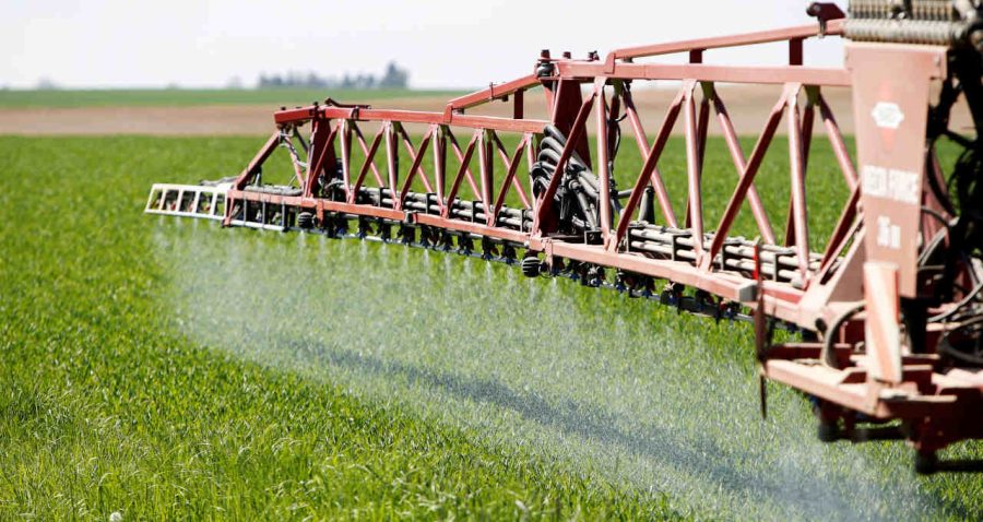 Safra de grãos 2021/22 deve ser 6,4% maior que a anterior