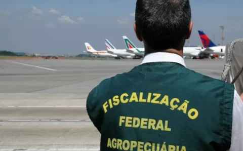 Auditores fiscais federais agropecuários podem entrar em greve na semana que vem