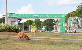 Defesa Civil convida população para observar o eclipse lunar que acontece nesse domingo (15) no Parque Tia Nair