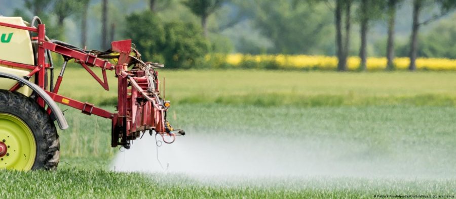 Agrotóxico 2,4-D eleva mortalidade de animais, mostra estudo