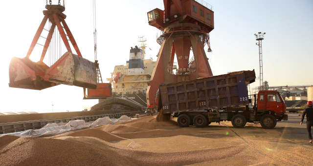 Soja retoma alta e mercado aguarda nova valorização do dólar para combinação ideal