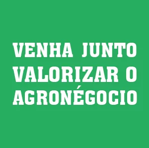 MT:  Pulses e culturas especiais são opções para Mato Grosso atingir novos mercados