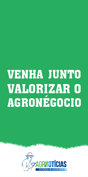 MT:  Pulses e culturas especiais são opções para Mato Grosso atingir novos mercados