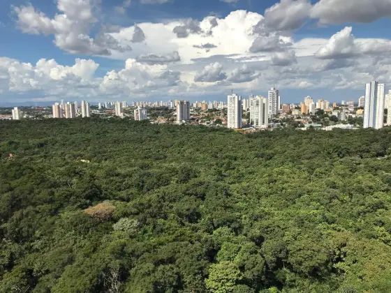 MT:  Governo lança Semana do Meio Ambiente no próximo domingo (05) com entrega do 1º Selo Carbono Neutro MT