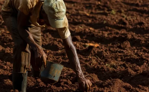 BNDES libera R$ 1,9 bilhão em crédito rural para programas agropecuários