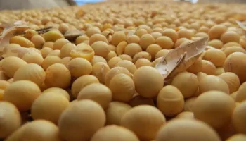 MT: ECONOMIA MATO GROSSO