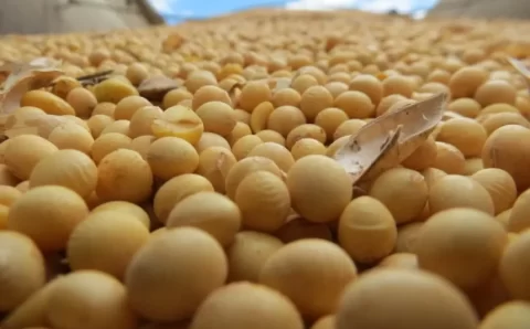 Projeções da AEB para balança comercial apontam para novos recordes