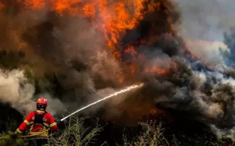 Incêndios florestais atingem Portugal, Espanha e França em meio a onda de calor
