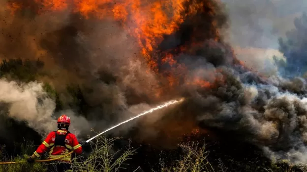 Incêndios florestais atingem Portugal, Espanha e França em meio a onda de calor