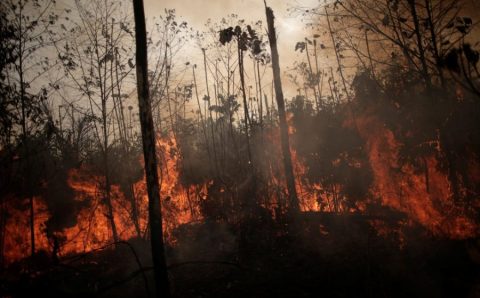 MATO GROSSO E PARÁ SÃO DESTAQUES:  Queimadas: Amazônia tem pior mês de junho em 15 anos
