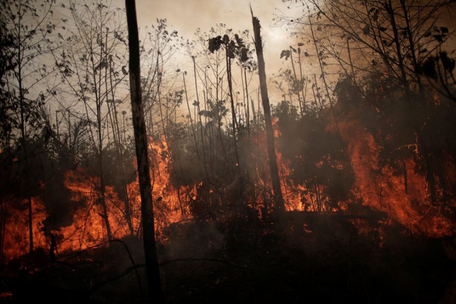 MATO GROSSO E PARÁ SÃO DESTAQUES:  Queimadas: Amazônia tem pior mês de junho em 15 anos