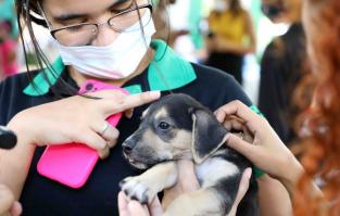 MT:  CONFIRA PROGRAMAÇÃO:   Atividades em escolas e praças de Cuiabá marcam mês de Proteção ao Bem-Estar Animal
