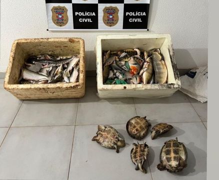 Ação integrada combate caça e pesca predatória na zona rural de Santa Terezinha