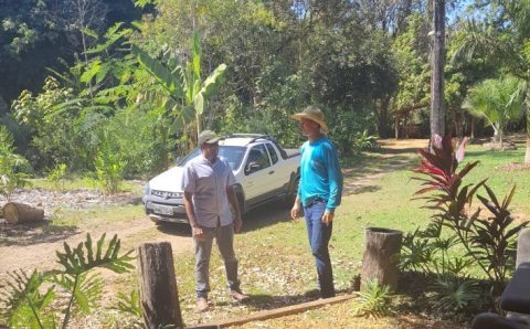MT:  CAPACITAÇÃO:   Propriedades de Mato Grosso sediam dia de campo com foco na sustentabilidade