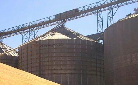 MT:  Falta de espaço em armazéns de Mato Grosso segue influenciando na comercialização da soja