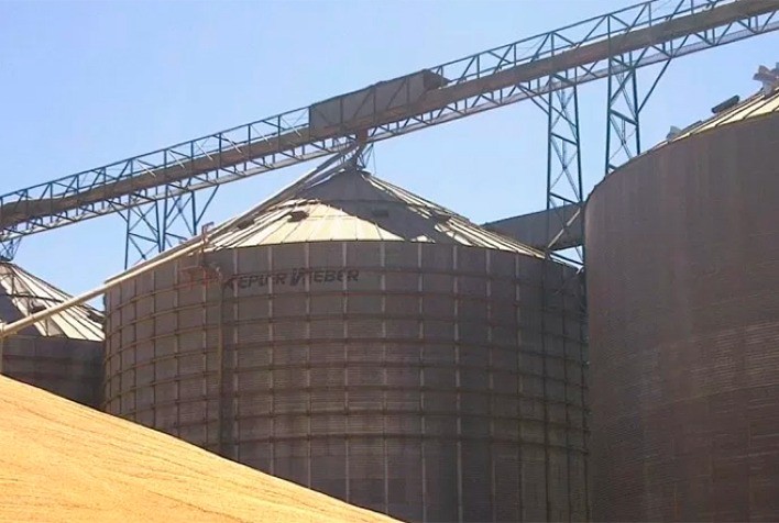 MT:  Falta de espaço em armazéns de Mato Grosso segue influenciando na comercialização da soja