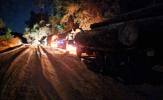 MT:  QUARTA OFENSIVA:   PF combate extração ilegal de madeira em terras indígenas de MT