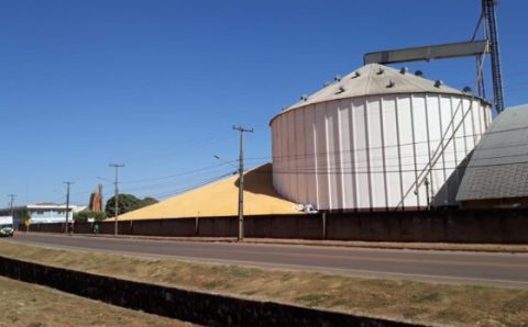 Mato Grosso:  Pesquisador fala sobre preocupações e prejuízos em estocar milho a céu aberto