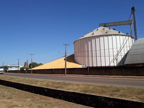 Mato Grosso:  Pesquisador fala sobre preocupações e prejuízos em estocar milho a céu aberto