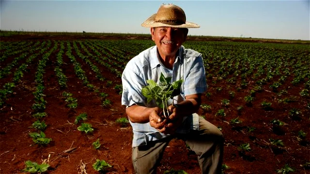 O Dia do Agricultor é comemorado anualmente em 28 de julho.