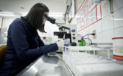 Pacientes com diabetes têm mais risco de apresentar declínio cognitivo