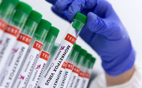 MT:  EMERGÊNCIA EM SAÚDE:  Varíola dos macacos põe Saúde Pública em estado de alerta máximo