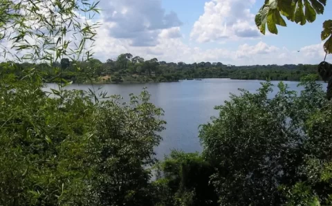 Lagos da Amazônia são ‘guerreiros’ contra aquecimento global, aponta estudo