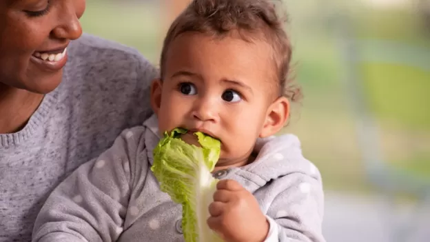 Pediatras no Brasil e nos EUA advertem contra dieta vegana até dois anos