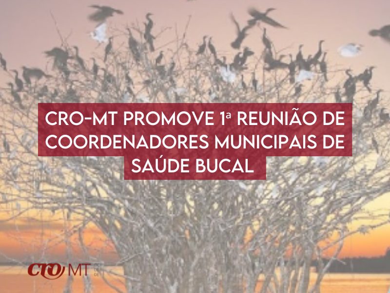 MT:   CRO-MT promove evento para coordenadores de saúde bucal