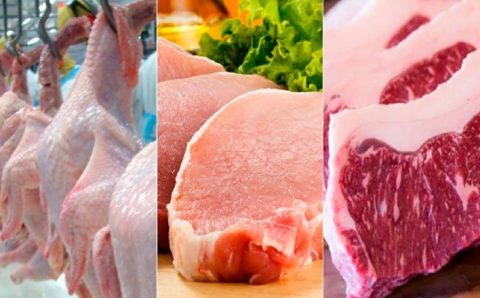 Carnes: exportação aumenta mais de 400%, mas disponibilidade interna se expande acima do crescimento vegetativo da população
