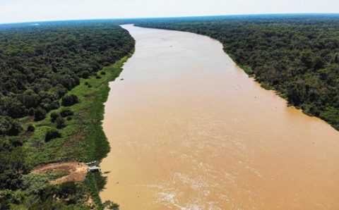 MT:  ESTÍMULO AO DESMATAMENTO:   MPE questiona lei que flexibiliza proteção à Bacia do Alto Paraguai