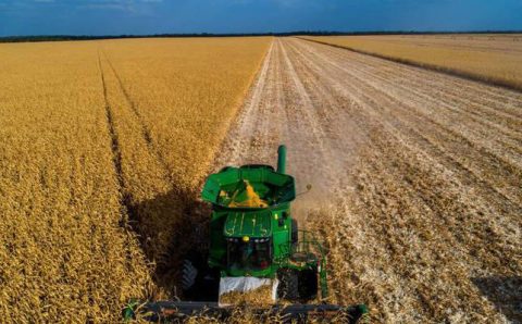 Agronegócio enfrenta dificuldades e projeta ‘disparada’ de pedidos de recuperação judicial