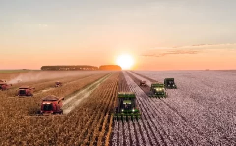 MT:  AGRONEGÓCIO DE MT É O 3º MAIS INADIMPLENTE DO PAÍS; 24% ESTÃO NEGATIVADOS