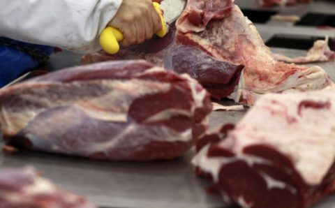 Corte bovino mato-grossense atrai empresários na maior feira de importação da China