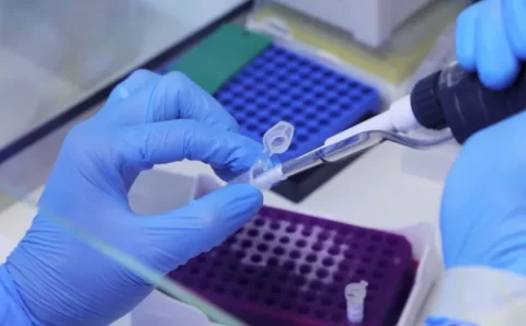 Portal de periódicos tem conteúdo gratuito sobre varíola dos macacos