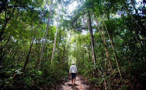 Amazônia precisa estar no centro do debate eleitoral de 2022
