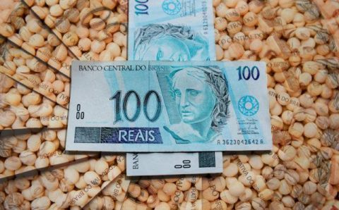 QUESTÃO FINANCEIRA:   Segue para a Câmara projeto que perdoa dívidas de produtores rurais com o Ibama