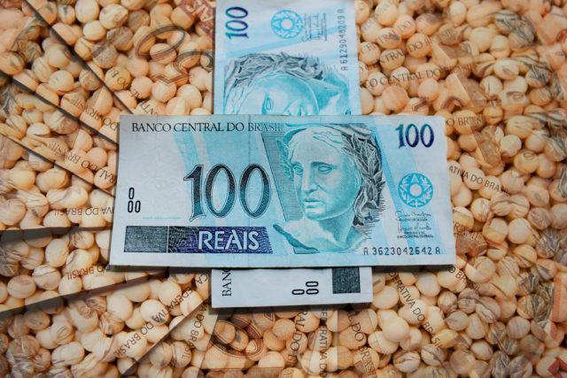 Crescimento econômico é disseminado no país, com exceção do Sudeste