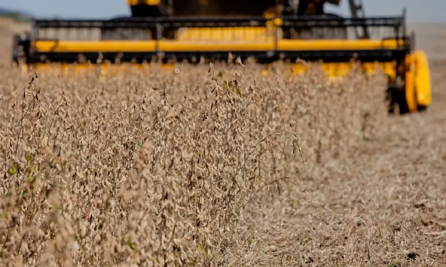 MT:  OTIMISMO ‘ADUBA’ CENÁRIO PARA NOVA SAFRA DE SOJA EM MT